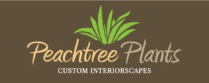 Peachtree Plants