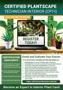 Certified Plantscape Technician – Interior update