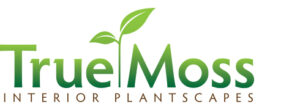 True Moss