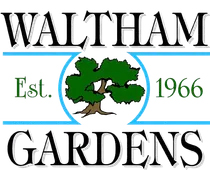 Waltham Gardens