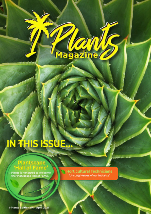 April 2021 Issue #4 is now live!
